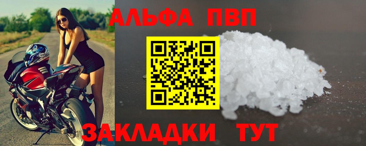 Альфа ПВП СК КРИС Кизилюрт