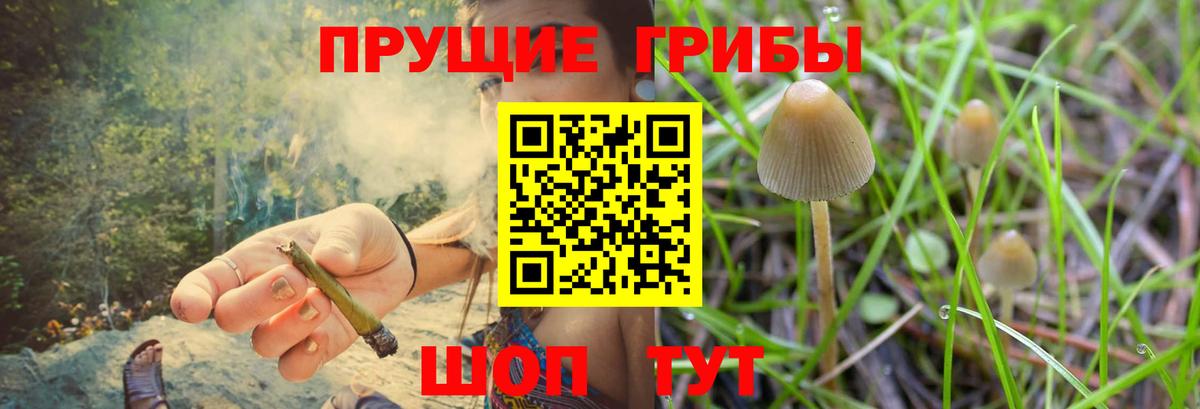 Галлюциногенные грибы ЛСД Кизилюрт