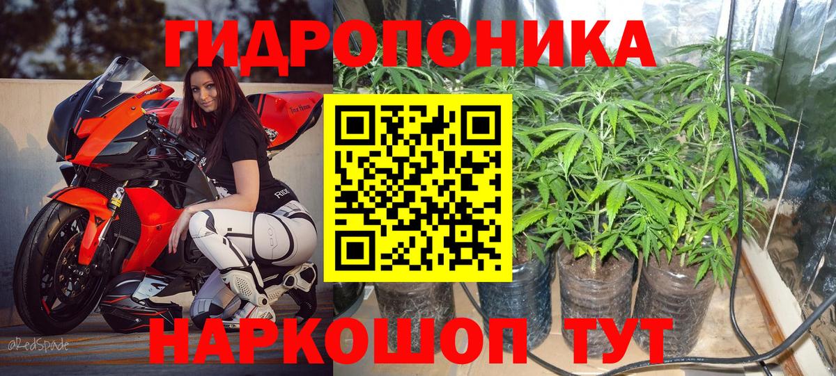 Бошки марихуана сатива  Шишки марихуана гибрид  Кизилюрт  Бошки Шишки Bruce Banner  Вход с VPN 